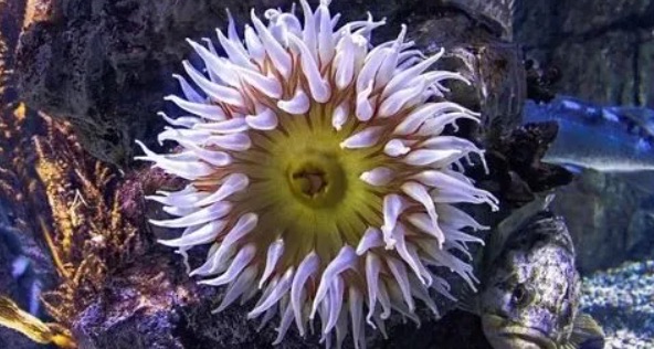 网络配图 网络配图