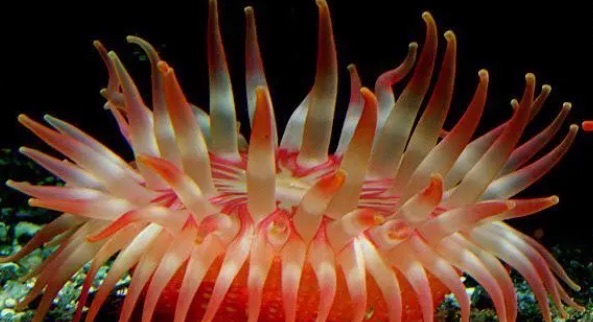 网络配图 网络配图