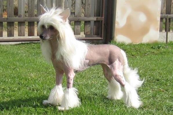 网络图片(侵删) 网络图片(侵删)