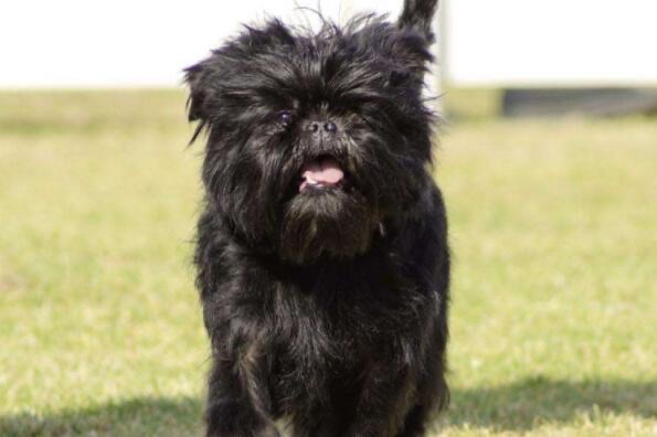 网络图片(侵删) 网络图片(侵删)