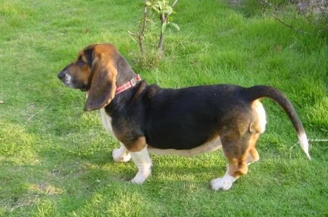 网络图片(侵删) 网络图片(侵删)