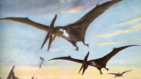 网络图片(侵删) 网络图片(侵删)