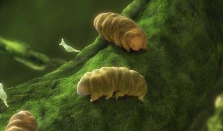 网络图片(侵删) 网络图片(侵删)