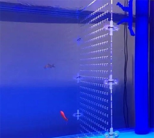 网络图片(侵删) 网络图片(侵删)