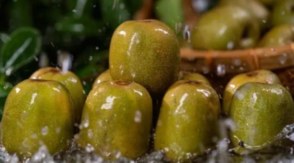 网络图片(侵删) 网络图片(侵删)