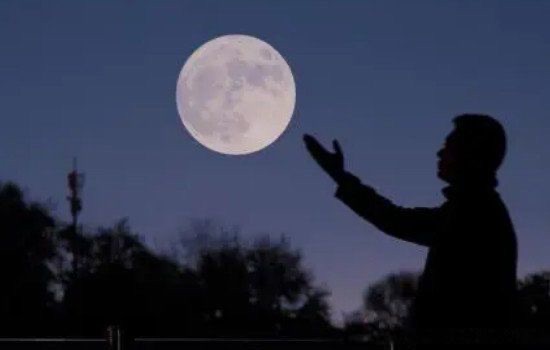 网络图片(侵删) 网络图片(侵删)