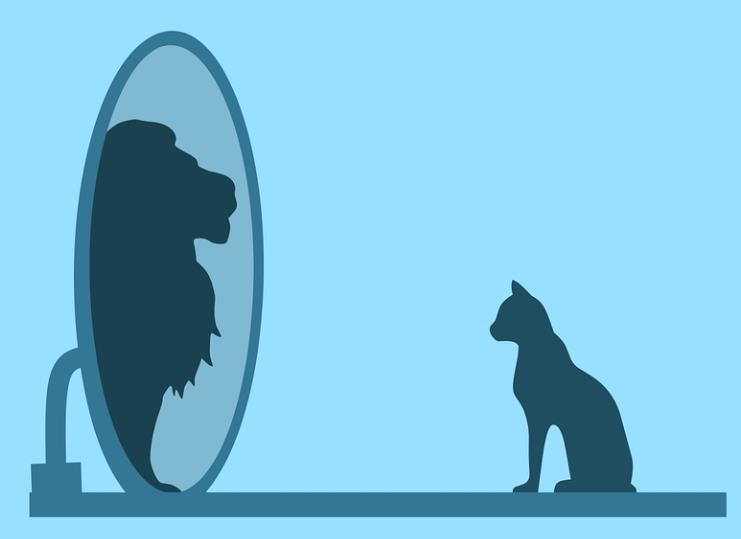 网络配图 网络配图