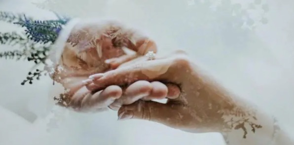 网络图片(侵删) 网络图片(侵删)