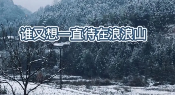 网络配图 网络配图