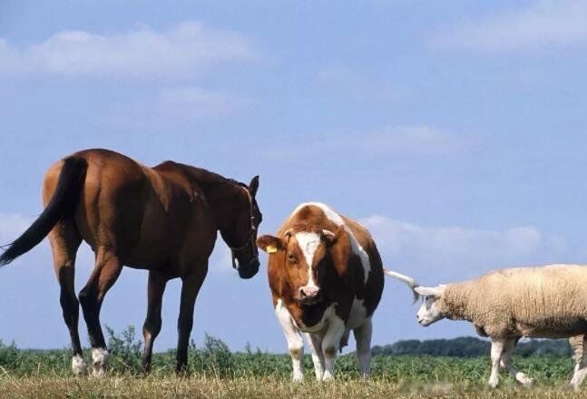 网络配图 网络配图