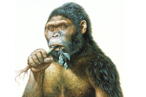 网络配图 网络配图