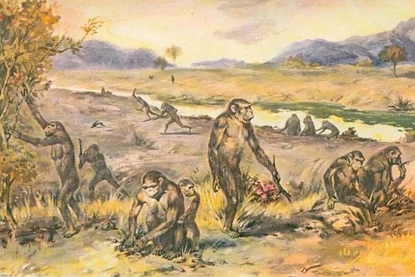 网络配图 网络配图