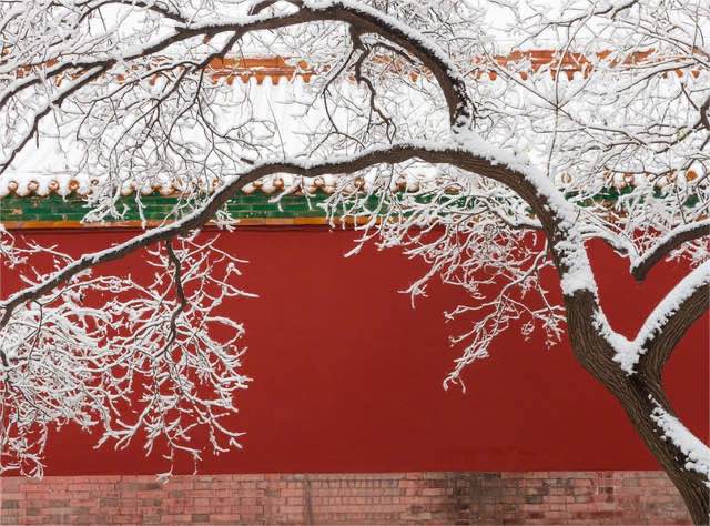 网络配图 网络配图