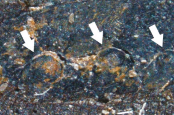 网络图片(侵删) 网络图片(侵删)