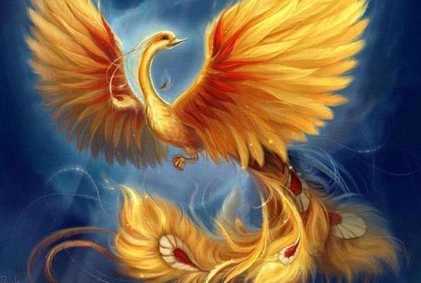 网络图片(侵删) 网络图片(侵删)