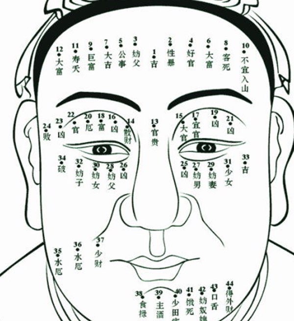 网络图片(侵删) 网络图片(侵删)