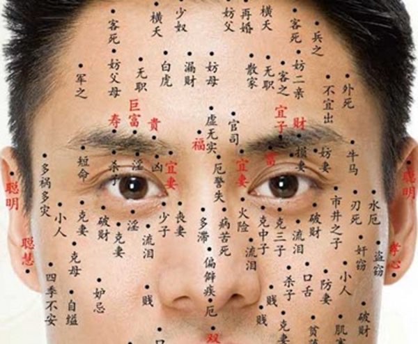 网络图片(侵删) 网络图片(侵删)