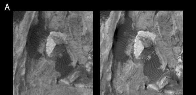 网络图片(侵删) 网络图片(侵删)