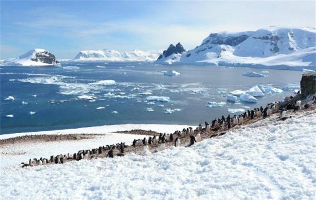 网络图片(侵删) 网络图片(侵删)