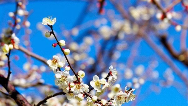 网络配图 网络配图