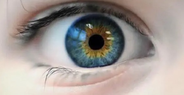 网络配图 网络配图