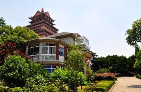 网络图片(侵删) 网络图片(侵删)