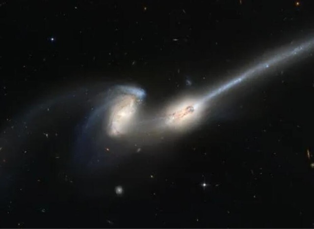 网络图片(侵删) 网络图片(侵删)