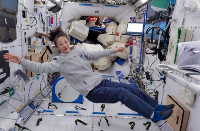 网络图片(侵删) 网络图片(侵删)