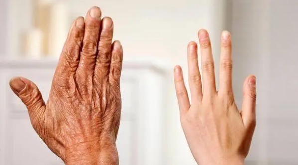 网络图片(侵删) 网络图片(侵删)