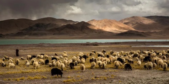 网络图片(侵删) 网络图片(侵删)