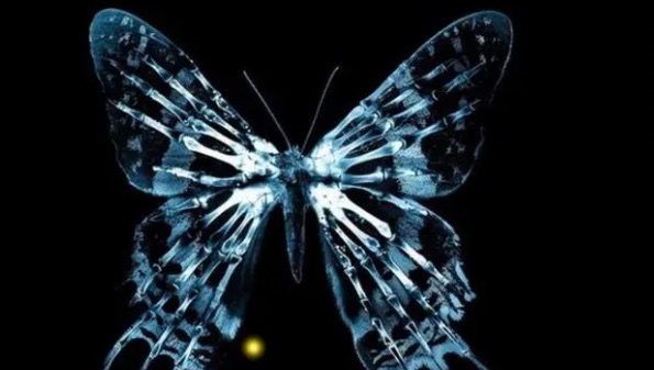 网络图片(侵删) 网络图片(侵删)