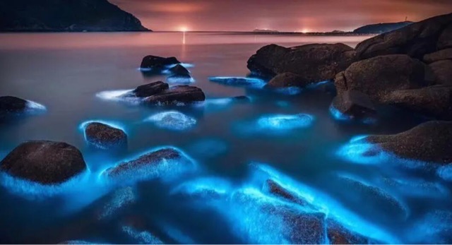 网络图片(侵删) 网络图片(侵删)