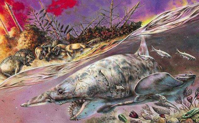 网络图片(侵删) 网络图片(侵删)