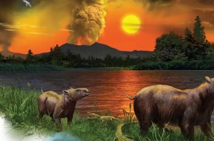 网络图片(侵删) 网络图片(侵删)