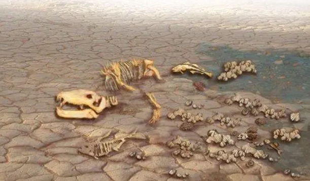 网络图片(侵删) 网络图片(侵删)