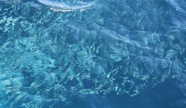 网络图片(侵删) 网络图片(侵删)