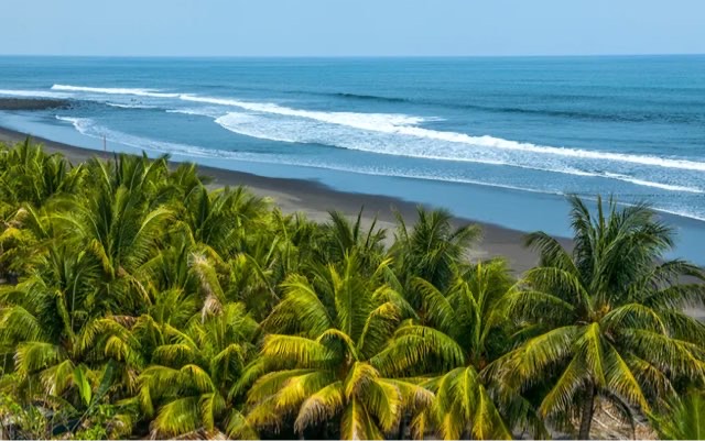 网络图片(侵删) 网络图片(侵删)