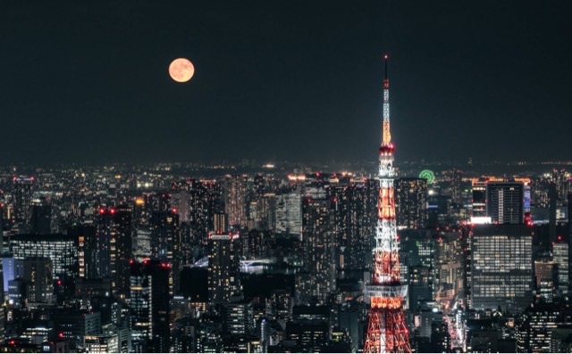 网络图片(侵删) 网络图片(侵删)