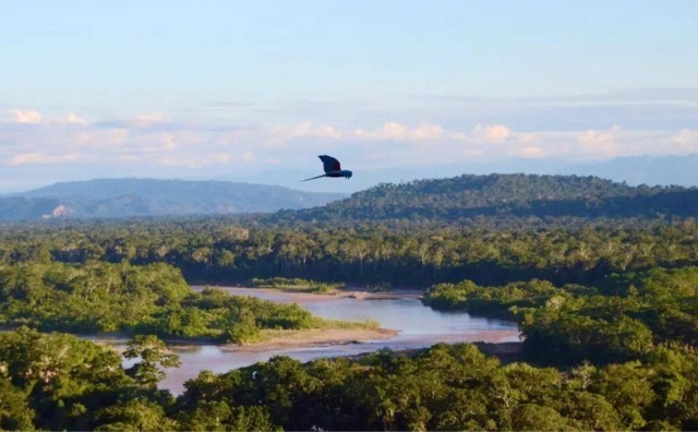 网络图片(侵删) 网络图片(侵删)