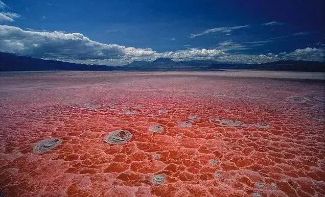 网络图片(侵删) 网络图片(侵删)