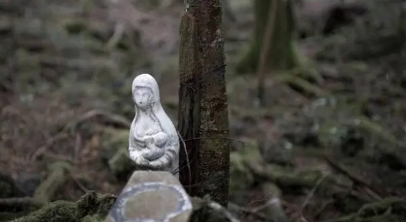 网络图片(侵删) 网络图片(侵删)