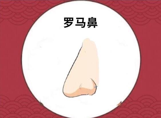 网络图片(侵删) 网络图片(侵删)