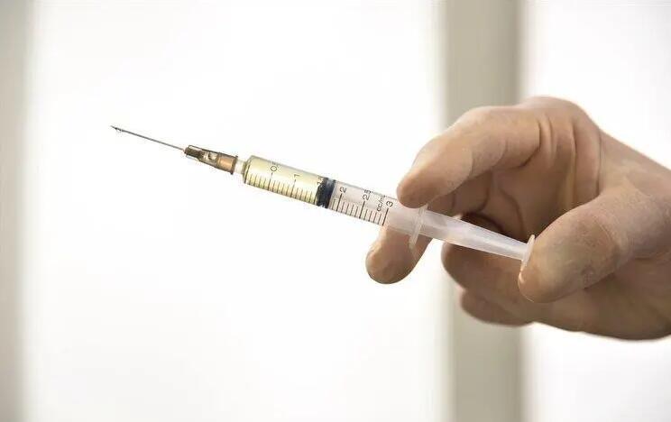 网络图片(侵删) 网络图片(侵删)