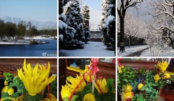 网络图片(侵删) 网络图片(侵删)