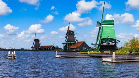 网络图片(侵删) 网络图片(侵删)