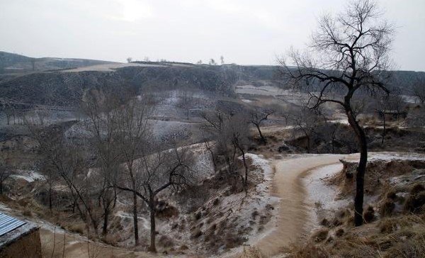 网络图片(侵删) 网络图片(侵删)