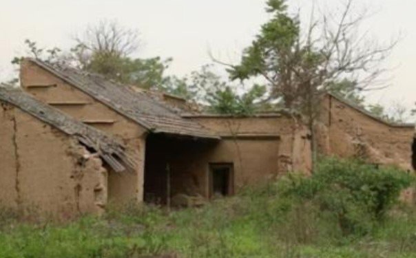 网络图片(侵删) 网络图片(侵删)