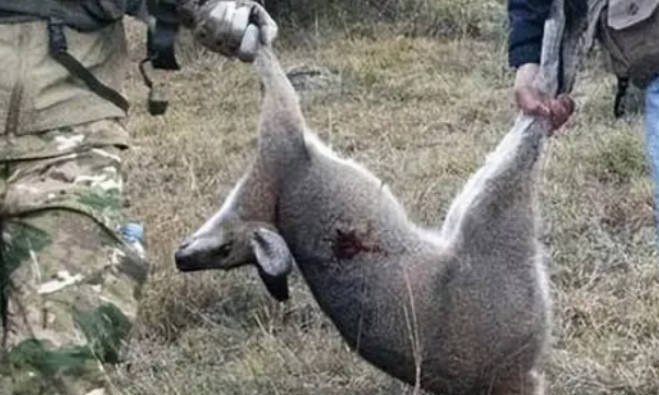 网络图片(侵删) 网络图片(侵删)