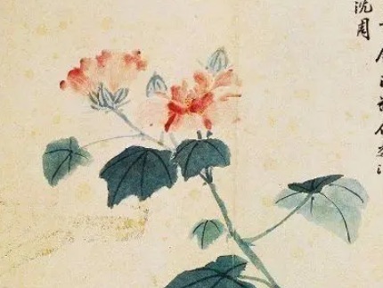 网络配图 网络配图