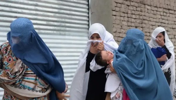 网络配图 网络配图